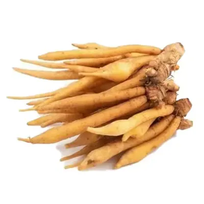 Fresh Fingerroot (Boesenbergia rotunda) Export Quality for Food & Processing by YA Corporation Co., Ltd.