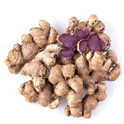 Fresh Black Ginger (Kaempferia parviflora) Export Quality Rhizome by YA Corporation Co., Ltd.