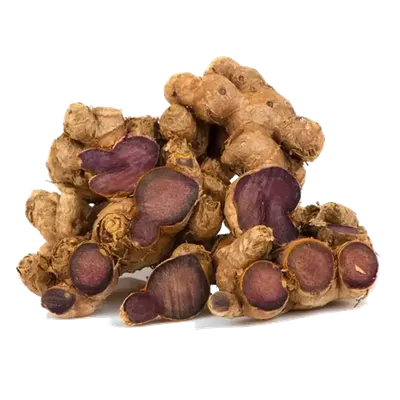 Fresh Black Ginger (Kaempferia parviflora) Export Quality Rhizome - Image 2
