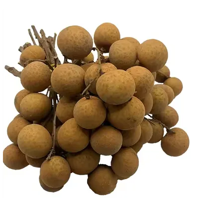 Fresh Longan / Premium Fresh Thai Longan – Export Grade by YA Corporation Co., Ltd.
