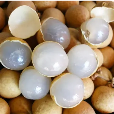Fresh Longan / Premium Fresh Thai Longan – Export Grade - Image 3