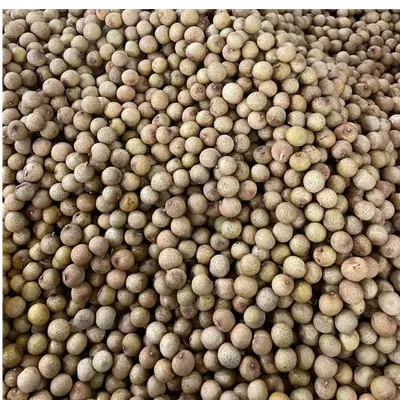 Fresh Longan / Premium Fresh Thai Longan – Export Grade - Image 5
