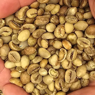 Green Coffee Beans Arabica & Robusta - Indonesia origin - Image 2