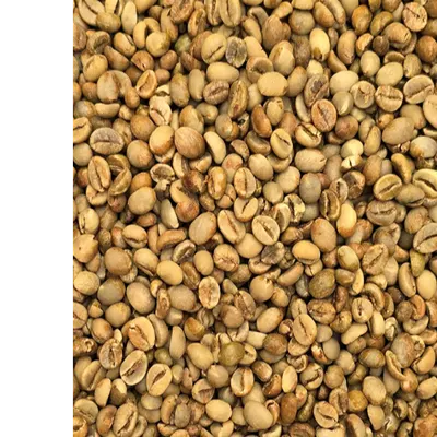 Robusta Green Coffee Beans - Indonesia origin. - Image 2