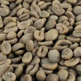 Arabica Green Coffee Beans - Indonesia origin - Image 3