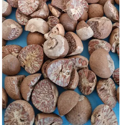 Betel Nuts / Supari / Areca Nuts from Indonesia - Image 2