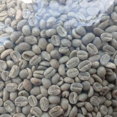 ARABICA GREEN COFFEE BEANS