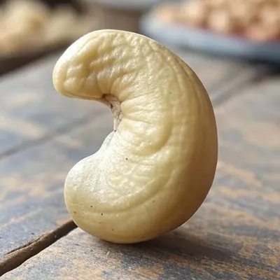 Raw Cashewnuts & Processed Cashewnuts - Image 2