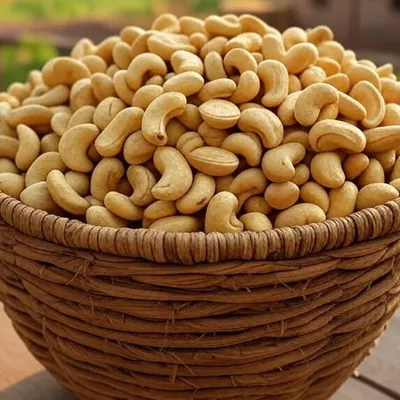 Raw Cashewnuts & Processed Cashewnuts - Image 3