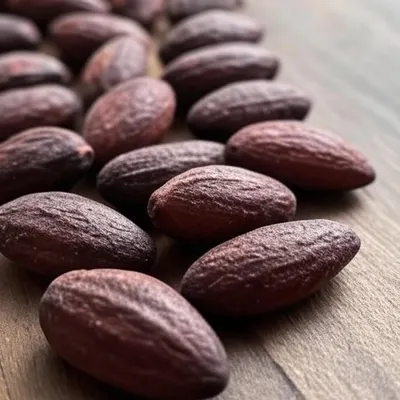Cocoa Beans - Image 3