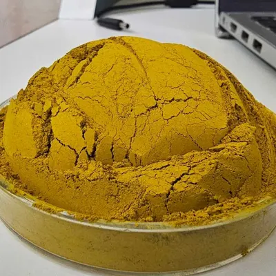 Berberine 65% HPLC Extract Powder by Aydis Labs