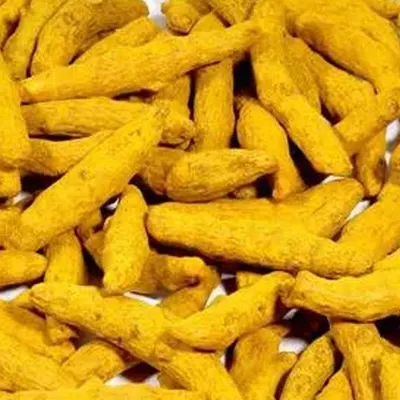 Turmeric Finger, Turmeric Powder - Image 2