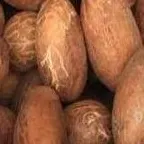 BITTER KOLA by ENCO coporate link limited