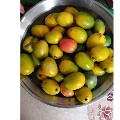 Mango Puree Concentrate