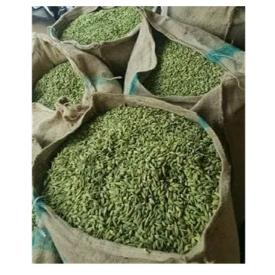 Bold Green Cardamom - Image 2