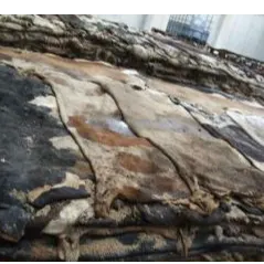 WET SALTED COW HIDES AND SKIN FOR SALE - Image 2