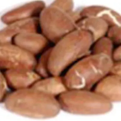 Bitter Kola