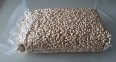 Cashew Kernels W320 by Argo Gemilang Nusantara