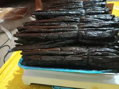 Vanilla beans - Image 2