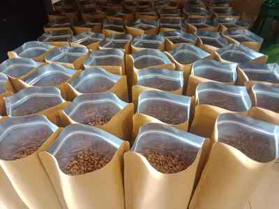 Arabica South Sulawesi - Image 6