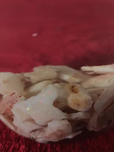 Untreated Australian Opal - White Base