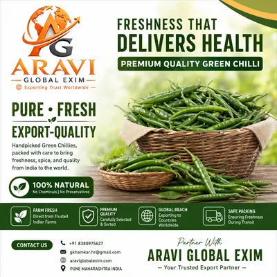 Fresh Export Quality Green Chillies by Aravi Global Exim