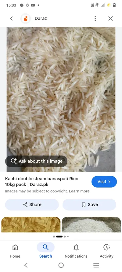Rice double steem