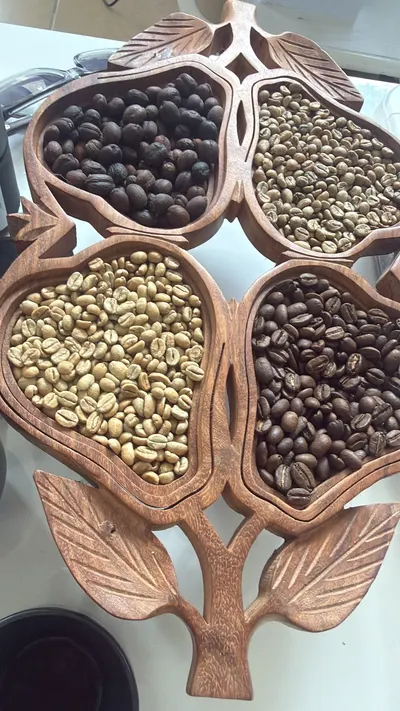 ETHIOPIAN SPECIALTY COFFEE - Image 3