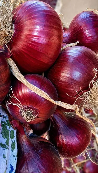 Fresh Export Quality Red Onion - Image 2