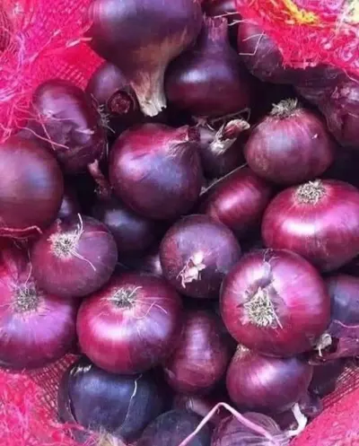 Fresh Export Quality Red Onion