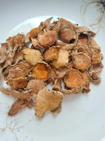 Export Quality Dried Turmeric Slices