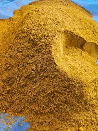 Premium Export Quality Turmeric Powder - Image 2