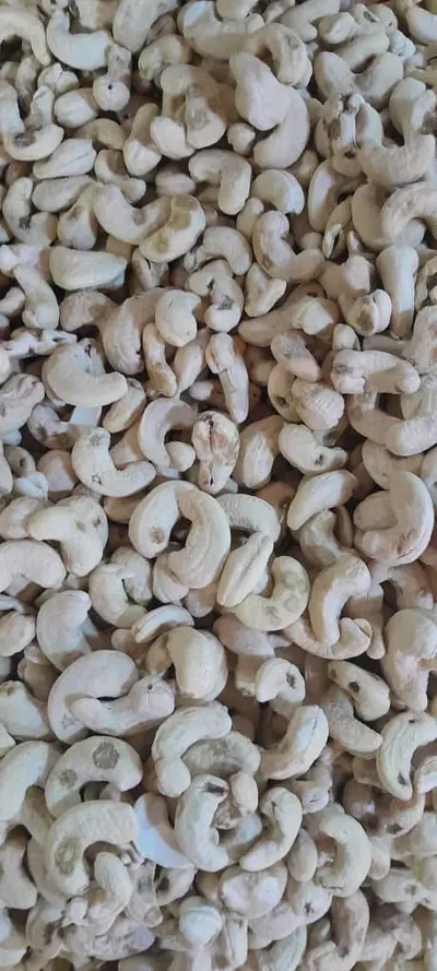 Premium Cashew Kernels WW320 – Côte d’Ivoire Origin
