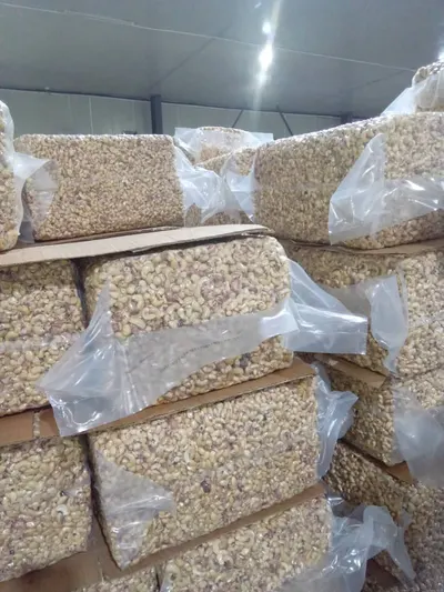 Premium Cashew Kernels WW320 – Côte d’Ivoire Origin - Image 3