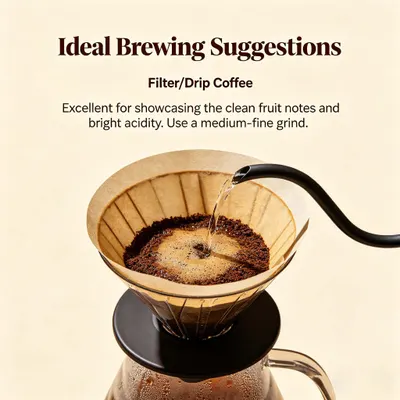 Fruit Sugar Signature Espresso – Medium Roast, Sidama & Yirgacheffe Blend, Naturally Sweet coffee bean - Image 3