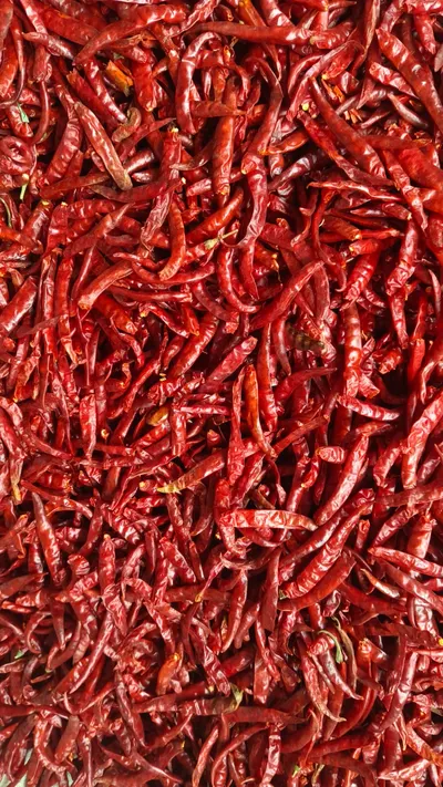 DRY RED CHILLI
