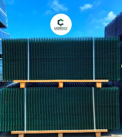 High Quality Double 2D Panel Fence