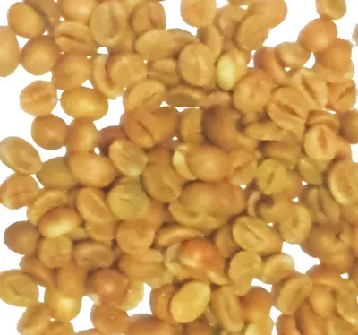 robusta coffee - Image 3