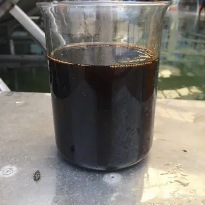 Cashew Nut Shell Liquid