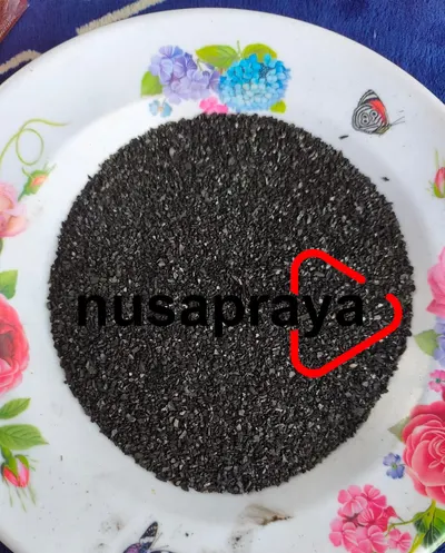 High-Performance Activated Carbon Adsorbent - Image 2