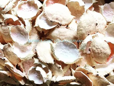 Dried Crab Shell - Image 4