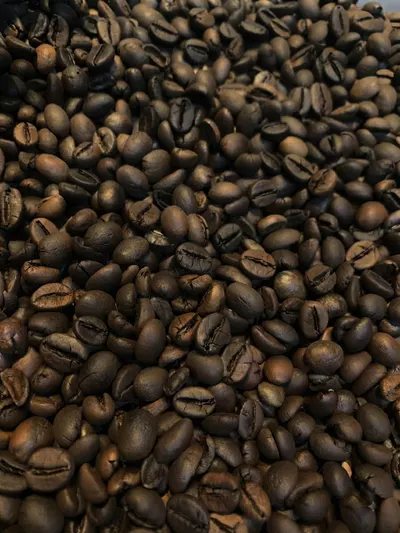 Roasted Robusta Coffee Beans by Bay Sejahtera Export
