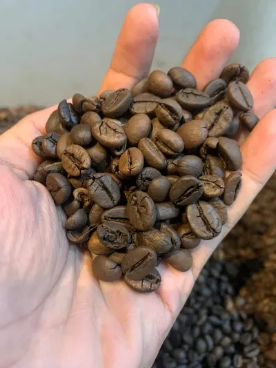 Roasted Robusta Coffee Beans - Image 2