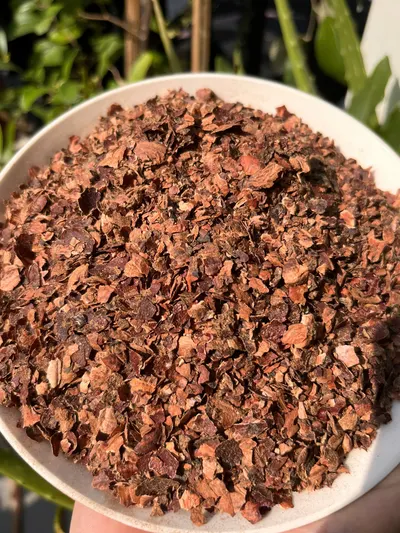KMI CASHEW HUSK & CASHEW HUSK PELLETS from Vietnam for tanning and industrial with bulk quantity and competitive price - Image 5