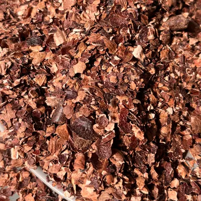 KMI CASHEW HUSK & CASHEW HUSK PELLETS from Vietnam for tanning and industrial with bulk quantity and competitive price - Image 3