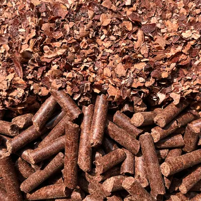 KMI CASHEW HUSK & CASHEW HUSK PELLETS from Vietnam for tanning and industrial with bulk quantity and competitive price - Image 4