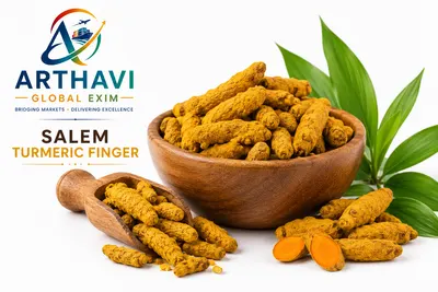 Export Grade Turmeric Fingers