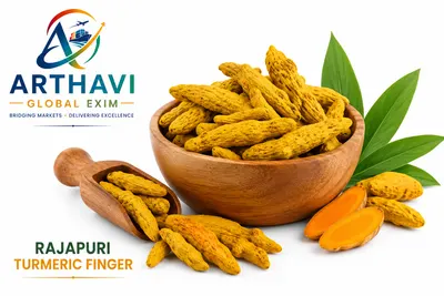 Export Grade Turmeric Fingers - Image 2