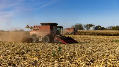 Agriculture Products by PAGO TRADING LTD