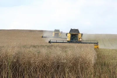 Corn Harvester For Tractor by Weifang Binhai Zhiyan Group Work Win Co., Ltd.